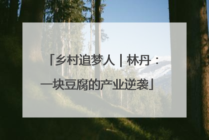 乡村追梦人｜林丹：一块豆腐的产业逆袭