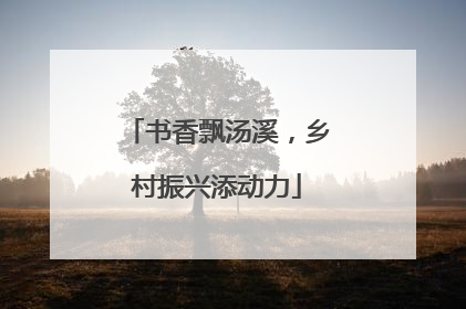 书香飘汤溪，乡村振兴添动力