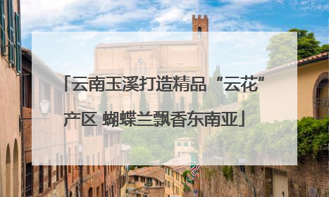 云南玉溪打造精品“云花”产区 蝴蝶兰飘香东南亚