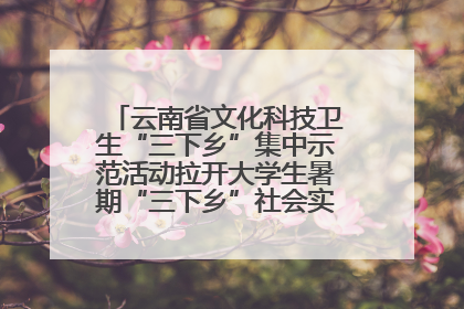 云南省文化科技卫生“三下乡”集中示范活动拉开大学生暑期“三下乡”社会实践活动序幕