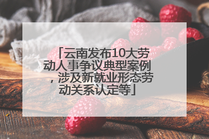 云南发布10大劳动人事争议典型案例，涉及新就业形态劳动关系认定等