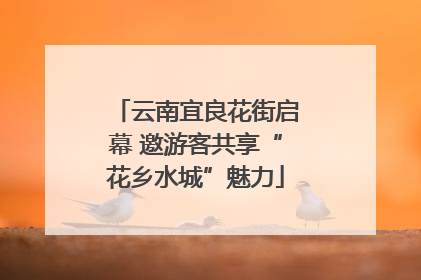云南宜良花街启幕 邀游客共享“花乡水城”魅力