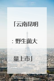 云南昆明:野生菌大量上市