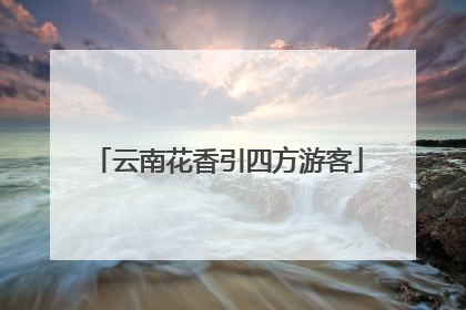 云南花香引四方游客