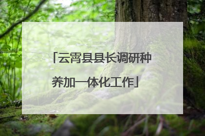 云霄县县长调研种养加一体化工作