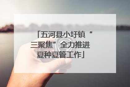 五河县小圩镇“三聚焦”全力推进夏种夏管工作