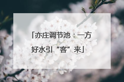 亦庄调节池：一方好水引“客”来