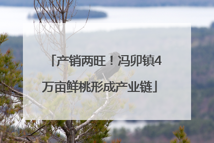 产销两旺！冯卯镇4万亩鲜桃形成产业链