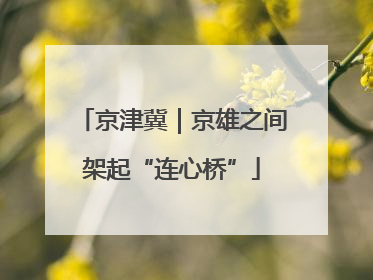 京津冀｜京雄之间架起“连心桥”