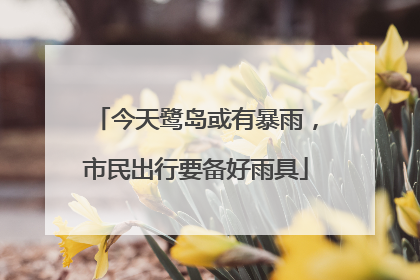今天鹭岛或有暴雨，市民出行要备好雨具