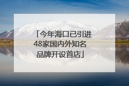 今年海口已引进48家国内外知名品牌开设首店