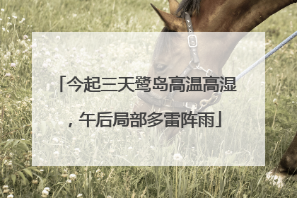 今起三天鹭岛高温高湿，午后局部多雷阵雨