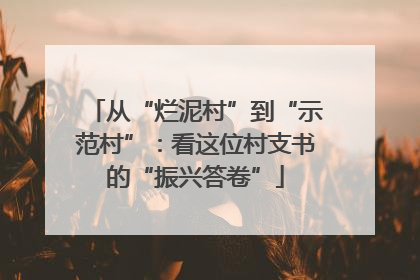 从“烂泥村”到“示范村”：看这位村支书的“振兴答卷”