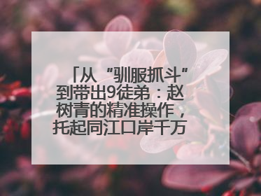 从“驯服抓斗”到带出9徒弟：赵树青的精准操作，托起同江口岸千万吨过货量
