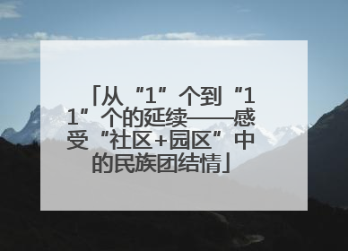 从“1”个到“11”个的延续——感受“社区+园区”中的民族团结情