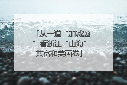 从一道“加减题”看浙江“山海”共富和美画卷