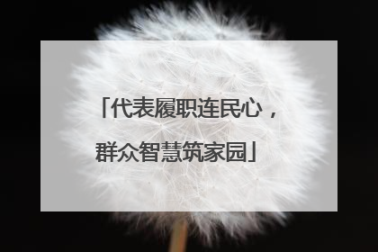 代表履职连民心，群众智慧筑家园