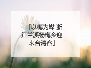 以梅为媒 浙江兰溪杨梅乡迎来台湾客