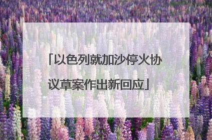以色列就加沙停火协议草案作出新回应