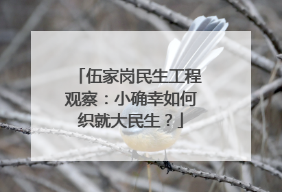 伍家岗民生工程观察：小确幸如何织就大民生？