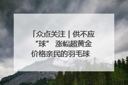 众点关注｜供不应“球” 涨幅超黄金 价格亲民的羽毛球为何身价飞涨？