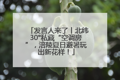 发言人来了丨北纬30°私藏“空调房”，涪陵夏日避暑玩出新花样！