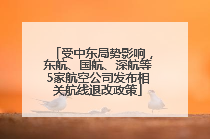受中东局势影响，东航、国航、深航等5家航空公司发布相关航线退改政策