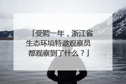 受聘一年，浙江省生态环境特邀观察员都观察到了什么？