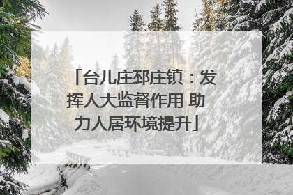 台儿庄邳庄镇：发挥人大监督作用 助力人居环境提升
