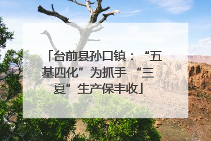 台前县孙口镇：“五基四化”为抓手 “三夏”生产保丰收