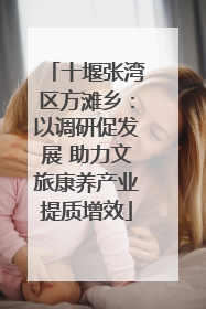 十堰张湾区方滩乡：以调研促发展 助力文旅康养产业提质增效