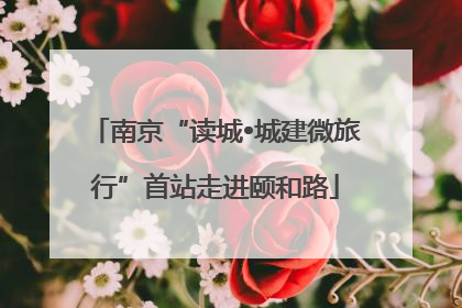 南京“读城•城建微旅行”首站走进颐和路