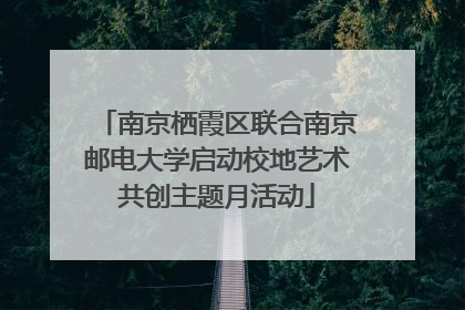 南京栖霞区联合南京邮电大学启动校地艺术共创主题月活动