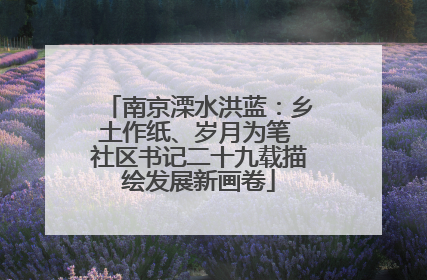 南京溧水洪蓝：乡土作纸、岁月为笔 社区书记二十九载描绘发展新画卷