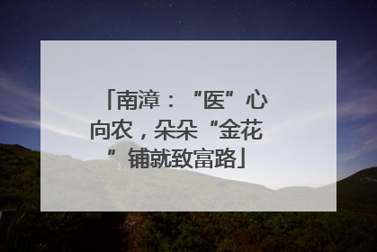 南漳：“医”心向农，朵朵“金花”铺就致富路