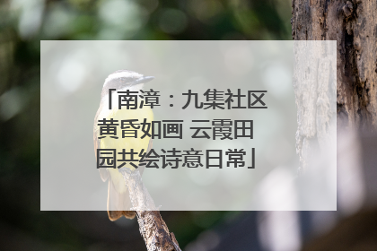 南漳：九集社区黄昏如画 云霞田园共绘诗意日常