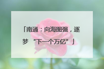 南通：向海图强，逐梦 “下一个万亿”