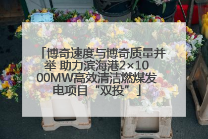 博奇速度与博奇质量并举 助力滨海港2×1000MW高效清洁燃煤发电项目“双投”