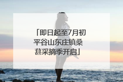 即日起至7月初 平谷山东庄镇桑葚采摘季开启