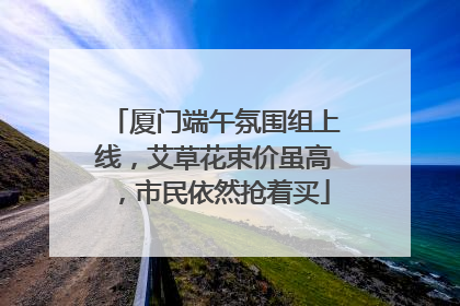 厦门端午氛围组上线，艾草花束价虽高，市民依然抢着买