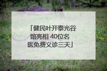 健民叶开泰光谷馆亮相 40位名医免费义诊三天
