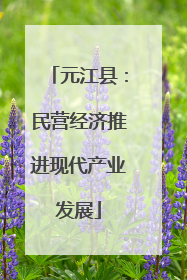 元江县：民营经济推进现代产业发展