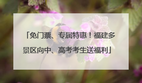 免门票、专属特惠！福建多景区向中、高考考生送福利