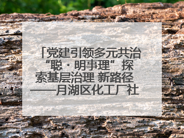 党建引领多元共治 “聪・明事理”探索基层治理 新路径——月湖区化工厂社区新实践