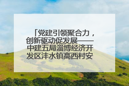 党建引领聚合力，创新驱动促发展——中建五局淄博经济开发区沣水镇高西村安置项目建设纪实