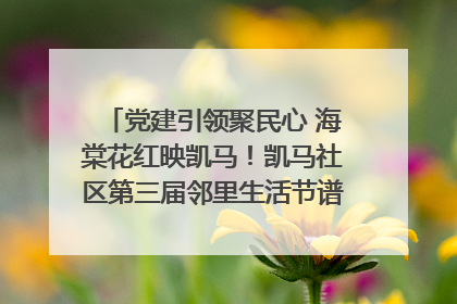 党建引领聚民心 海棠花红映凯马！凯马社区第三届邻里生活节谱写幸福新篇章