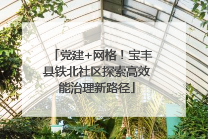 党建+网格！宝丰县铁北社区探索高效能治理新路径