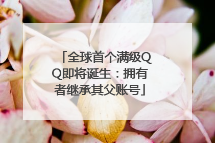 全球首个满级QQ即将诞生：拥有者继承其父账号