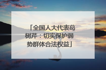 全国人大代表葛树芹：切实保护弱势群体合法权益