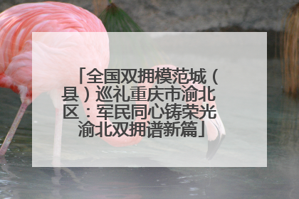 全国双拥模范城（县）巡礼重庆市渝北区：军民同心铸荣光 渝北双拥谱新篇